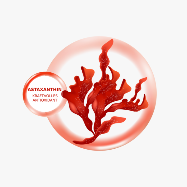 astaxanthin algue